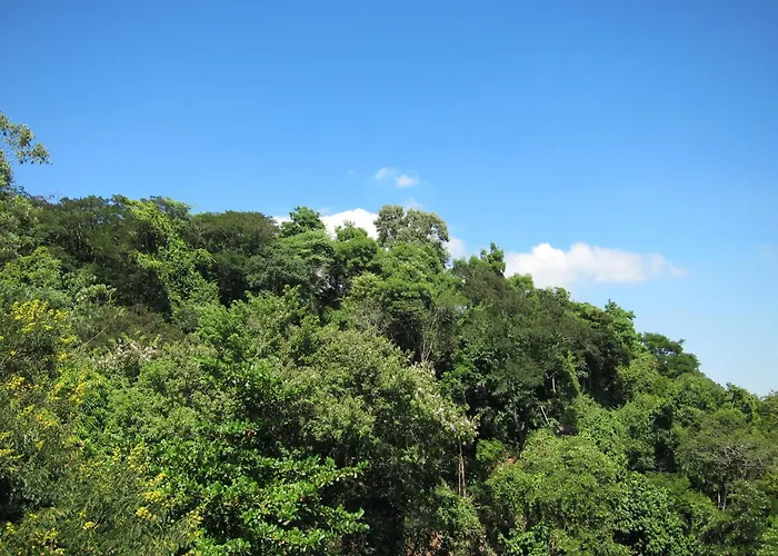 Estudio Da Floresta Rio de Janeiro